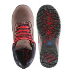 BOTIN-EDELBROCK-ED160